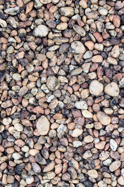 Небольшая речная каменная экосистема
 - Фото, изображение