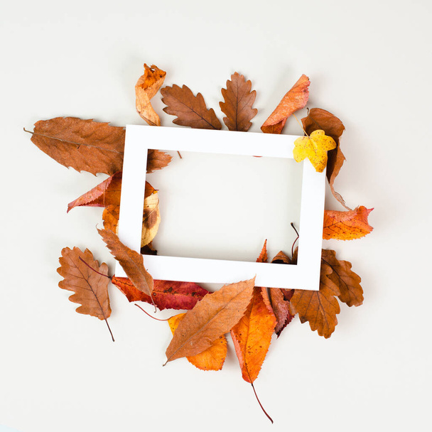 Fond de saison d'automne, cadre avec feuillage coloré, feuilles brunes, rouges et jaunes, carte de souhaits - Photo, image