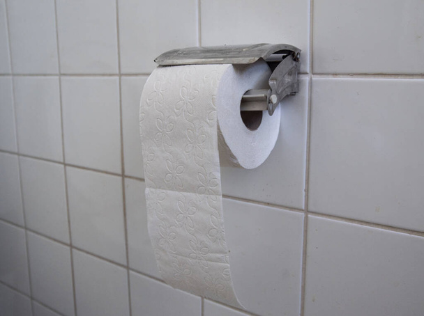 papel higiênico em um banheiro, higiene corporal e necessidades básicas - Foto, Imagem