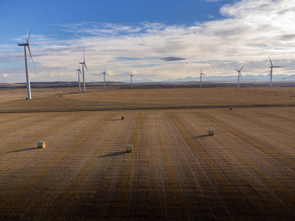 Високі повітряні канадські вітряки з круглими сіжками на зібраному полі поблизу бухти Пінчер Альберта Канада.. - Фото, зображення