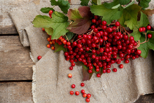 Branch of viburnum with ripe berries on wooden table, flat lay - Фото, зображення