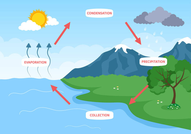 Cykl wodny odparowania, kondensacji, Opady atmosferyczne do zbierania w środowisku naturalnym Ziemi na płaskiej kreskówki ręcznie rysowane szablon ilustracji - Wektor, obraz