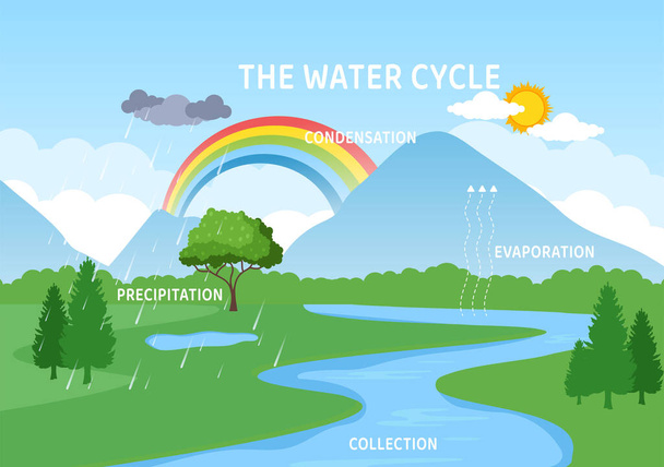 Watercyclus van verdamping, condensatie, neerslag om te verzamelen in de natuurlijke omgeving van de aarde op platte cartoon met de hand getrokken sjabloon Illustratie - Vector, afbeelding