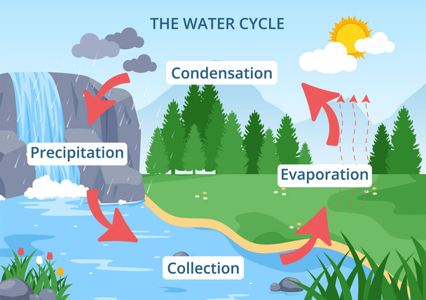Ciclo de agua de evaporación, condensación, precipitación a la colección en el ambiente natural de la tierra en ilustración plana de la plantilla dibujada a mano de la historieta - Vector, Imagen