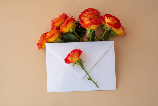 Beautiful red roses flowers in postal envelope on neutral beige background, copy space for text, spring time, greeting card for holiday. Flower delivery. Delicate red yellow roses. Minimal trendy - Photo, image