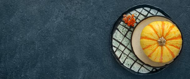 Πιάτα με κολοκύθα και rowan σε σκούρο φόντο με χώρο για κείμενο - Φωτογραφία, εικόνα