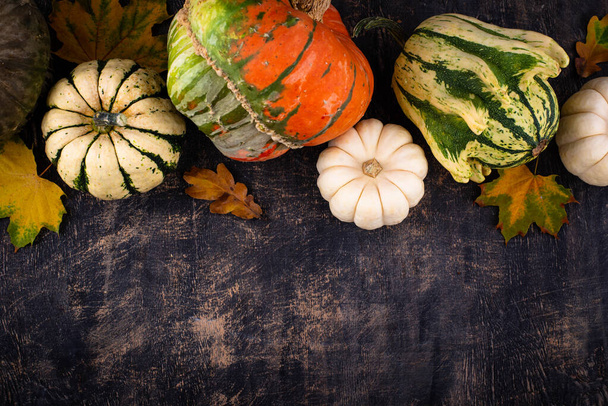 Fondo otoño otoño con diferentes calabazas decorativas - Foto, Imagen