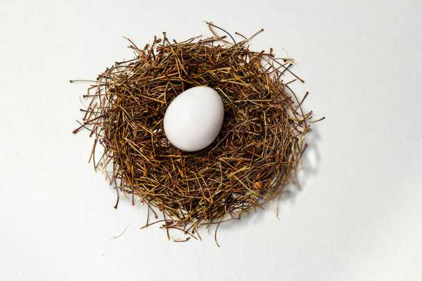 one chicken egg in a nest on the white background - Valokuva, kuva
