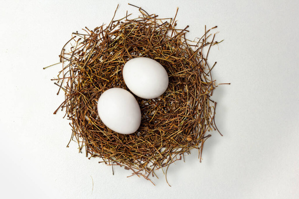 dois ovos de galinha em um ninho no fundo branco - Foto, Imagem