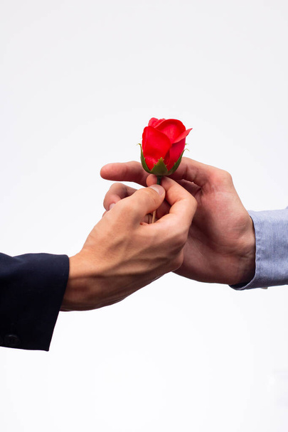 La mano de un hombre en una chaqueta extiende una rosa a la mano de otro hombre - Foto, Imagen