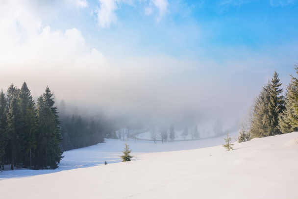 mountain landscape on a foggy sunrise. beautiful winter scenery with spruce trees on a snow covered hill - Fotó, kép