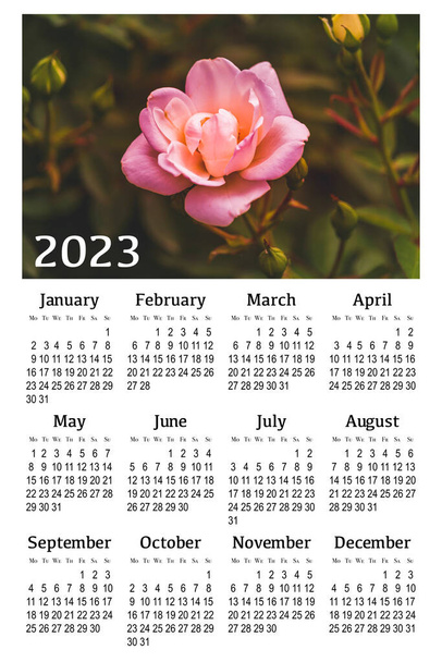Kalendarz botaniczny na rok 2023. Pionowy kalendarz ścienny, tydzień zaczyna się w poniedziałek. - Zdjęcie, obraz