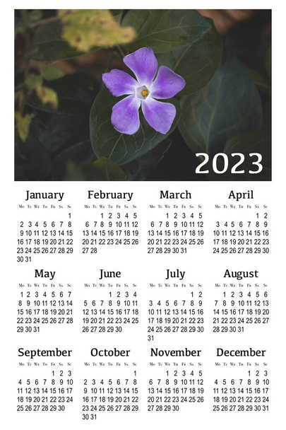Calendário botânico para 2023. Calendário de parede vertical, semana começa segunda-feira. - Foto, Imagem
