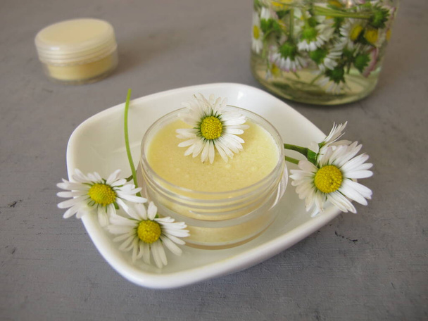 Pomada de margarida caseira com extrato de margarida em um pequeno pote - Foto, Imagem