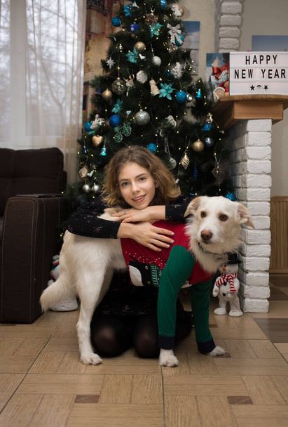 ενήλικη κοπέλα και λευκό σκυλί κάθονται στο σπίτι μπροστά από το χριστουγεννιάτικο δέντρο. φιλία μεταξύ μιας γυναίκας και ενός σκύλου. Η έννοια της μια ευτυχισμένη ζεστή χειμερινές διακοπές με το αγαπημένο κατοικίδιο ζώο - Φωτογραφία, εικόνα