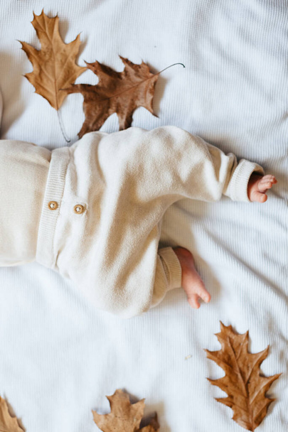 Baby feet in beige pants among autumn yellow leaves on a white background. Autumn background. - Foto, imagen