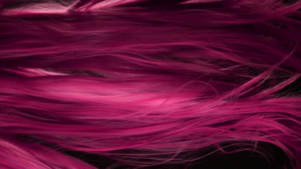 Super Slow Motion Shot van golvend roze haar op 1000 fps. Gefilmd met High Speed Cinema Camera op 4K. - Video