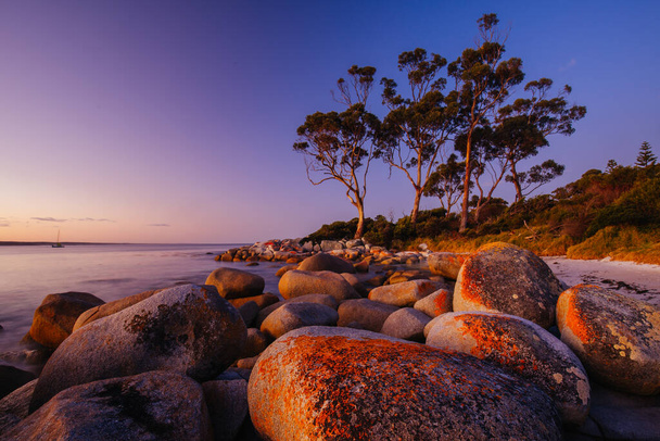 El liquen cubría rocas al atardecer en la Bahía de los Fuegos en Binalong Bay, Australia - Foto, imagen