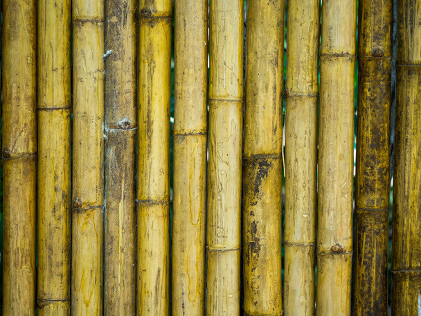 Bamboo fence - Foto, Bild