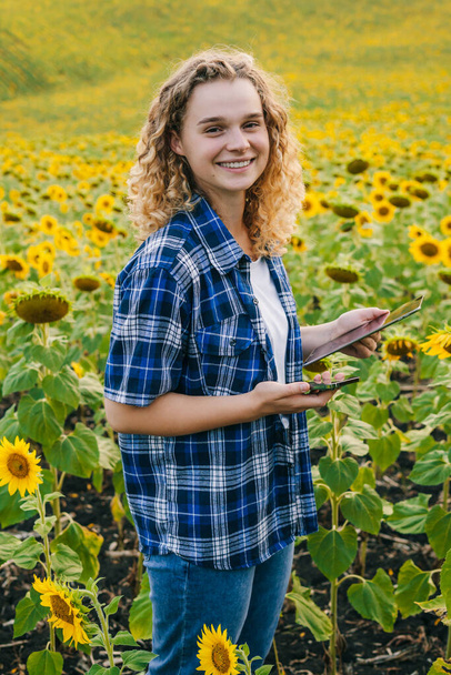 Boer vrouw onderzoekt het gebied van zonnebloemen en stuurt gegevens naar de wolk van de digitale tablet. Smart farming en digitale landbouw. Landbouwarbeider - Foto, afbeelding