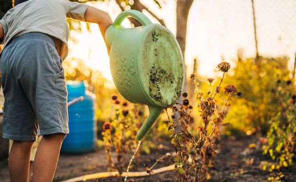 Boy watering flowers from a watering can outside on sunny day at sunset. Education concept. Gardening concept. Spring garden flowers. Plant care. Green nature. - Φωτογραφία, εικόνα