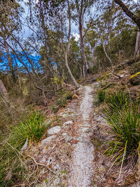 BINALONG BAY, AUSTRALIA - 19 de septiembre de 2022: Bay of Fires Trail como parte de la red de senderos para bicicletas de montaña Blue Derby durante la primavera cerca de Binalong Bay, Tasmania, Australia - Foto, Imagen