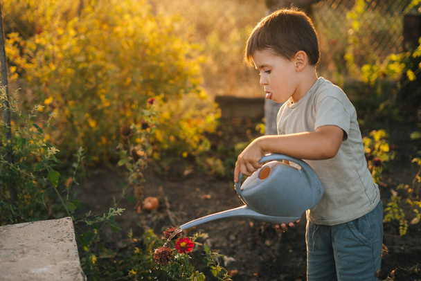 Маленький кавказький хлопчик дає воду рослинам від поливу в саду на задньому дворі будинку в сонячний літній вечір на заході сонця. Середовище
 - Фото, зображення