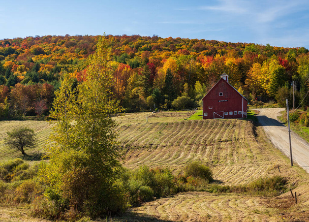 Stodoła hodowlana Grandview przy torze niedaleko Stowe w Vermont w sezonie jesiennym - Zdjęcie, obraz