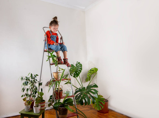 Little girl playing in a room with many houseplants. Sustainable living and homeschooling with children - Fotografie, Obrázek