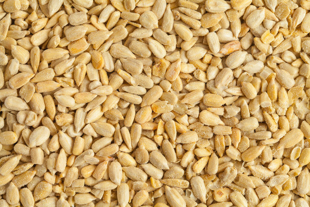 Duży stos nasion słonecznika Tekstura tła. - Zdjęcie, obraz