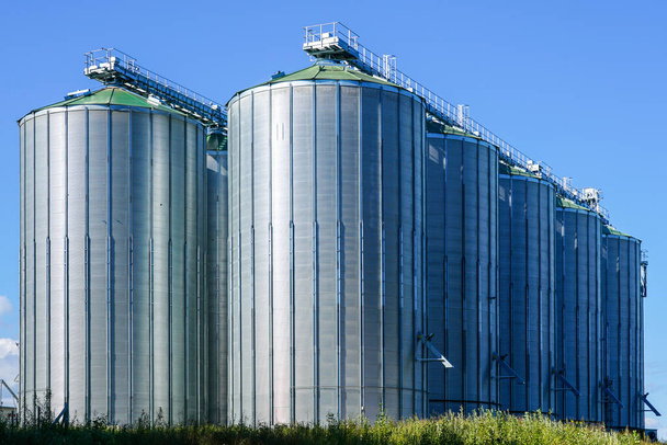 Silos agricoles, stockage et séchage des grains, blé, maïs, soja, tournesol sur fond bleu ciel, séchoir à grains - Photo, image