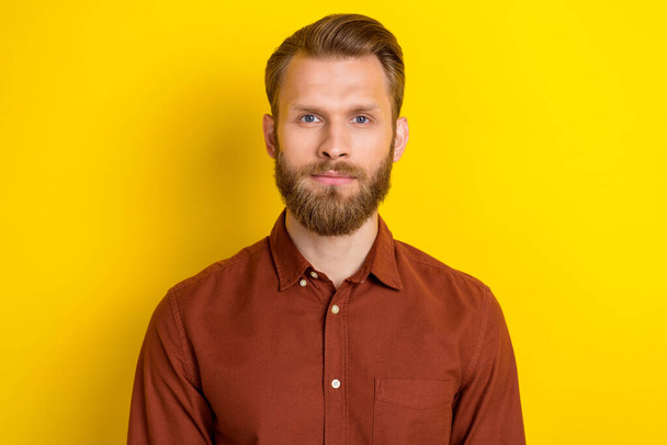 Photo of handsome confident serious man with blond beard dressed burgundy shirt staring at camera isolated on yellow color background. - Foto, Imagen