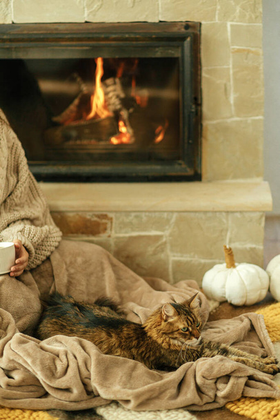 Mignon chat et femme avec une tasse de thé assis ensemble sur une couverture confortable à la cheminée. Adorable chaton tabby relaxant avec le propriétaire à la cheminée en feu dans une ferme rustique - Photo, image