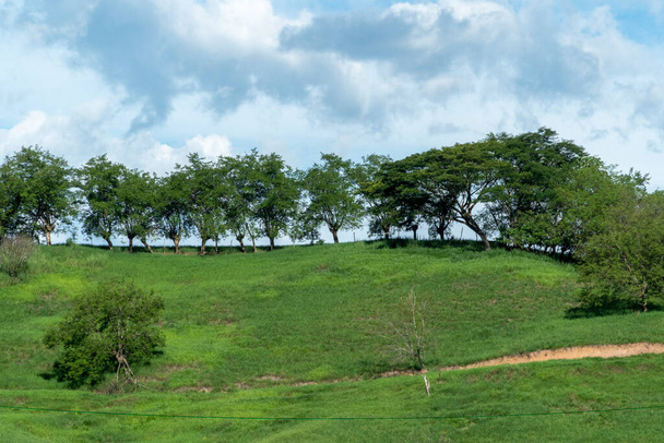 Panoramatická krajina v Tamesis s modrou oblohou a horami na obzoru. Kolumbie.  - Fotografie, Obrázek