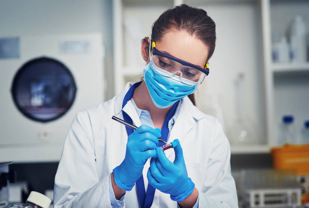 Got to remember to label them. Closeup of an unrecognizable female scientist wearing a protective face mask and holding up a vile of blood inside of a laboratory - Photo, Image