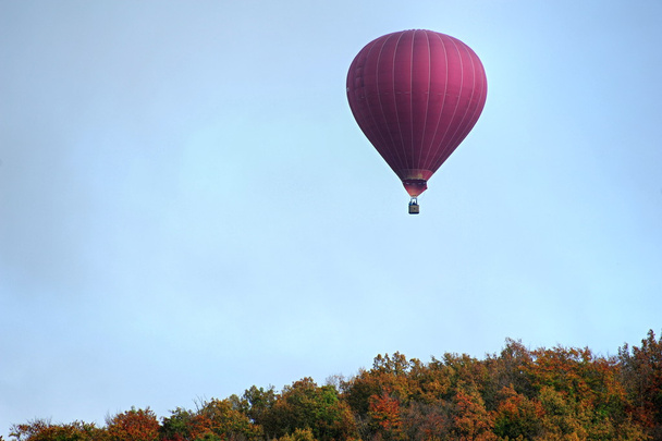秋の気球飛行 - 写真・画像