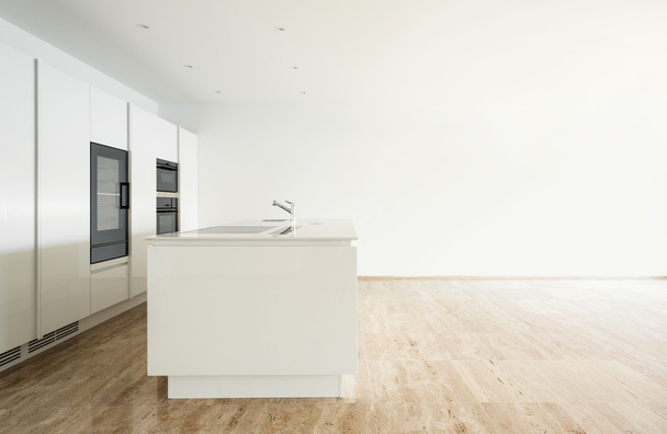 Beautiful house, modern kitchen - Photo, image