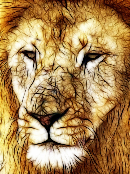 ライオン用の大きな顔のクローズ アップ画像イラスト - 写真・画像