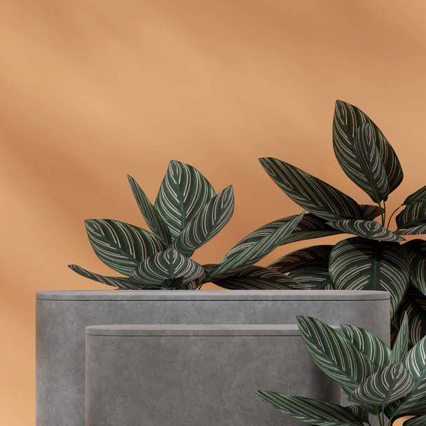 Diseño cuadrado naranja pared y planta de oración 3D imagen renderizar escena maqueta concreto textura podio - Foto, Imagen