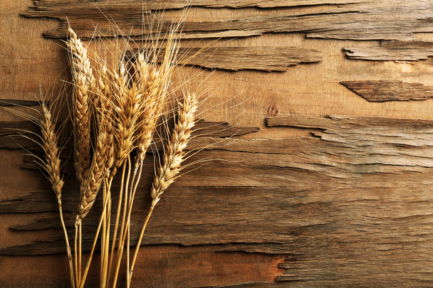 Spikelets of wheat - Photo, Image