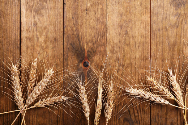 Spikelets of wheat - Фото, изображение