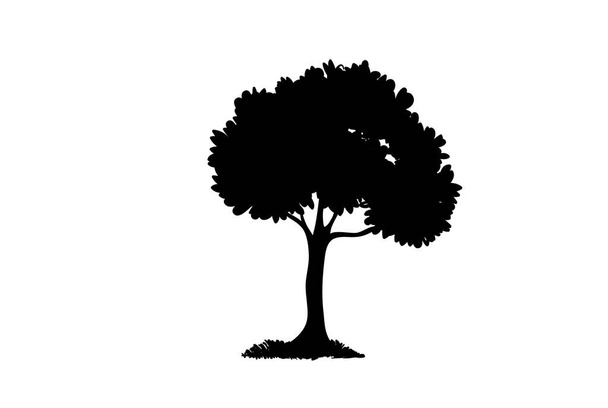 Diversity of tree .Vector Illustration - Διάνυσμα, εικόνα