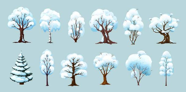 Kreskówkowe drzewa zimowe, odizolowane rośliny wektorowe ze śniegiem na gałęziach. Sezon zimowy brzoza i świerk, dąb, klon lub wiązów w parku, ogrodzie lub lesie zimowym. Zasoby gry - Wektor, obraz