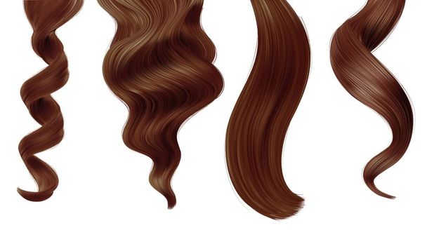 光沢のある茶色の女性の髪のストランドは、ストレートとポニーテールの髪型、ベクトルヘアカットとヘアケアの美しさ。髪染めサンプルやシャンプーパッケージのための現実的な女性のストランドと長いカール拡張子 - ベクター画像