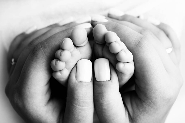 Mother is doing massage on her baby foot. Closeup baby feet in mother hands. Prevention of flat feet, development, muscle tone, dysplasia. Family, love, care, and health concepts. Black and white.  - Fotó, kép