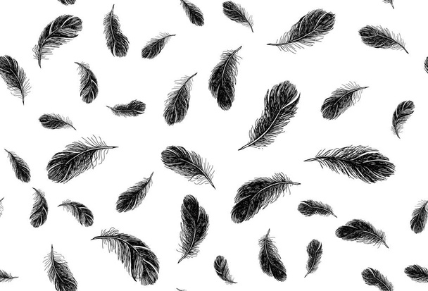 Hand drawn feather on white background - Vettoriali, immagini