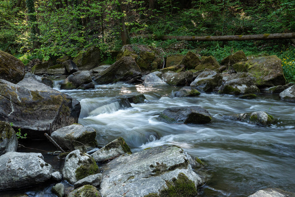 Wild river Doubrava in Czech Republic, Europe. - Photo, Image