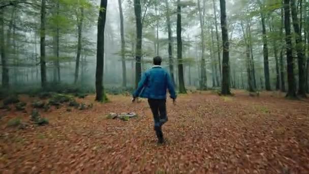 Chico corre con brazos de avión en medio del bosque de otoño con niebla - Metraje, vídeo