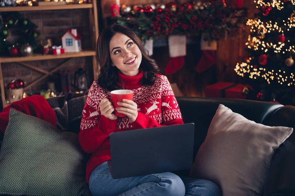 Portrait of charming minded lady sit sofa hold coffee mug wireless netbook imagine x-mas fairy indoors. - Photo, image