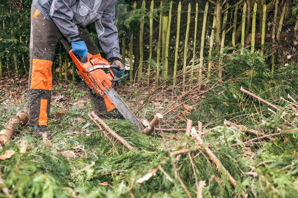 Professional gardener using chainsaw - Photo, Image